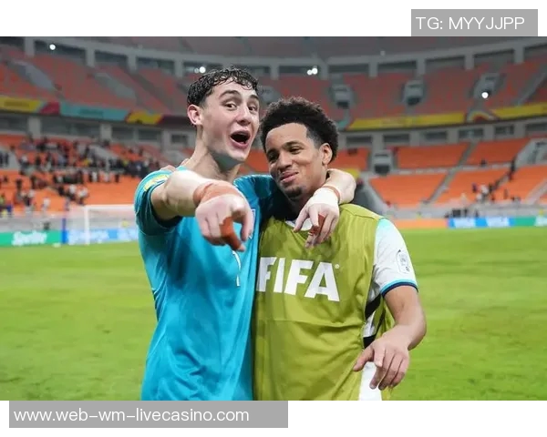 荷兰足球明星的辉煌历程与对世界足球的深远影响