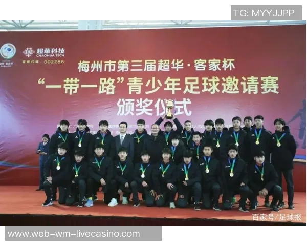 足球报深度解析中国足球未来发展路径与青训体系建设的关键因素