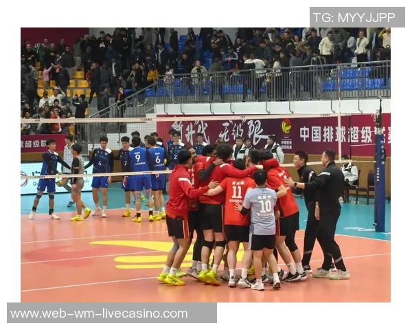 男排与女排的较量不仅是力量的对抗更是技巧与团队精神的完美结合 男排与女排的较量不仅是力量的对抗更是技巧与团队精神的完美结合